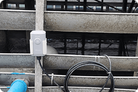 success-story-case-img